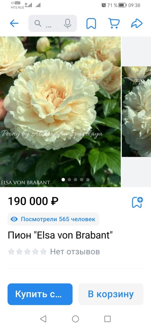 Screenshot_20260909_093851_com.vkontakte.androidf0fbd63e894e912e.jpg
