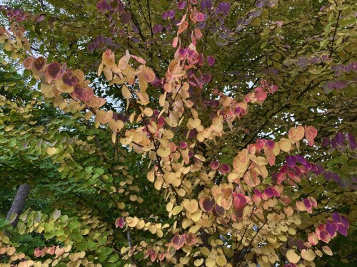 IMG_5192-219b65fe659964b8f.jpeg